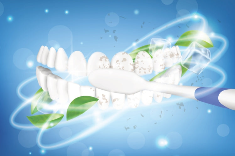 Illustration of soft-bristle brush, brushing teeth