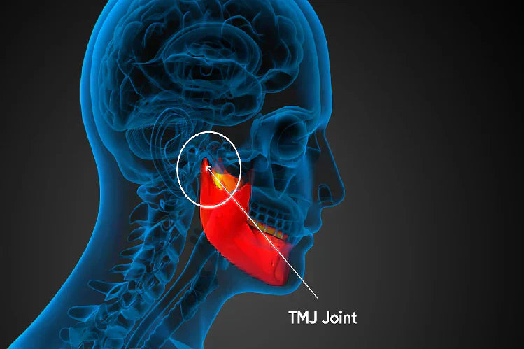 3D image of a man’s jaw showing temporomandibular joint