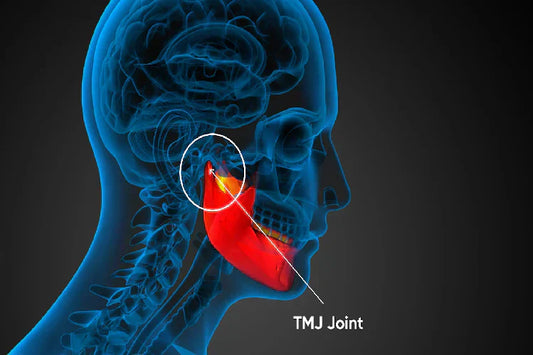 3D image of a man’s jaw showing temporomandibular joint